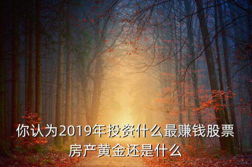 你認(rèn)為2019年投資什么最賺錢股票房產(chǎn)黃金還是什么