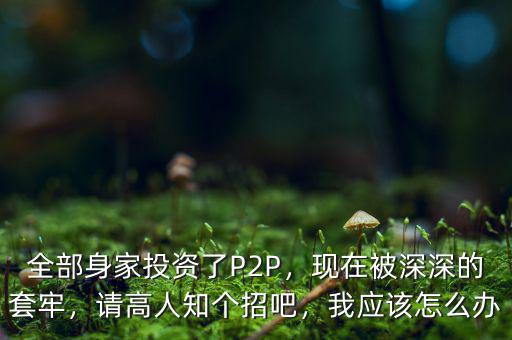 全部身家投資了P2P，現(xiàn)在被深深的套牢，請高人知個招吧，我應該怎么辦