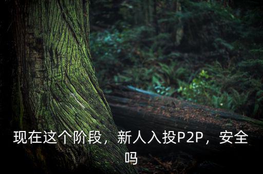 現在這個階段，新人入投P2P，安全嗎