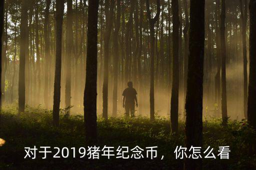 對于2019豬年紀(jì)念幣，你怎么看