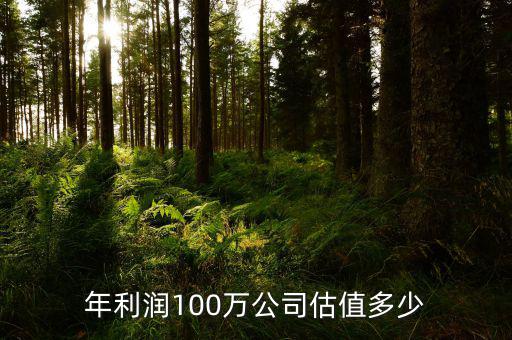 年利潤(rùn)100萬公司估值多少