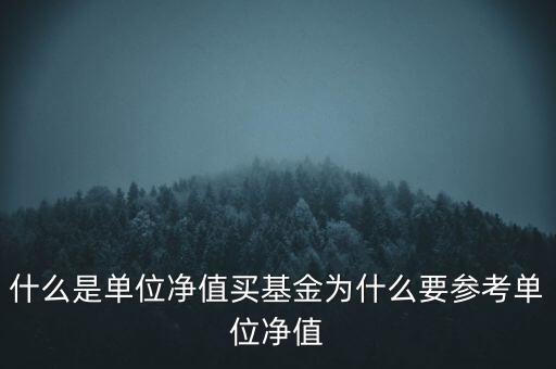 什么是基金單位凈值,買基金為什么要參考單位凈值