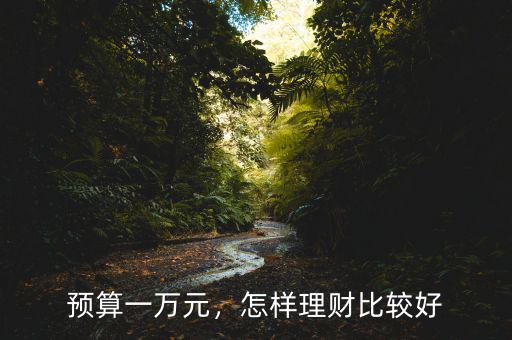 預(yù)算一萬元，怎樣理財比較好