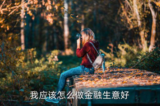 我應(yīng)該怎么做金融生意好