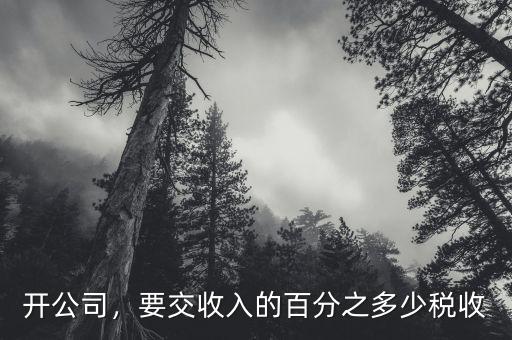 開公司，要交收入的百分之多少稅收