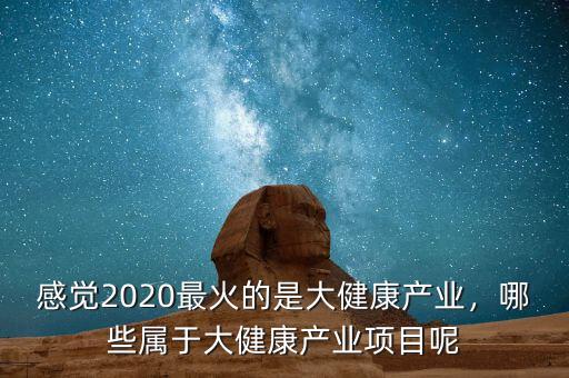 感覺2020最火的是大健康產(chǎn)業(yè)，哪些屬于大健康產(chǎn)業(yè)項目呢