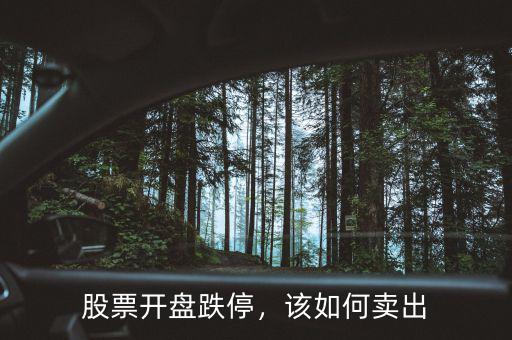 股票開盤跌停，該如何賣出