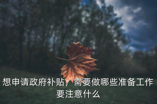 想申請政府補(bǔ)貼，需要做哪些準(zhǔn)備工作要注意什么