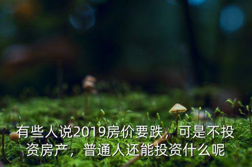 有些人說2019房價要跌，可是不投資房產(chǎn)，普通人還能投資什么呢