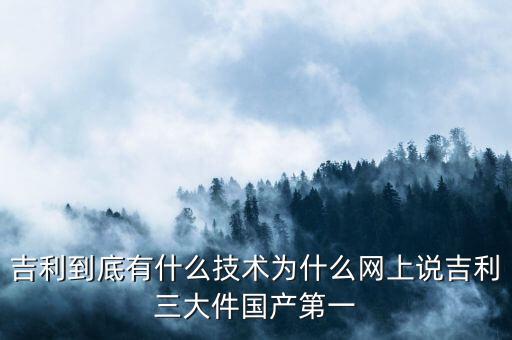 吉利到底有什么技術(shù)為什么網(wǎng)上說吉利三大件國產(chǎn)第一