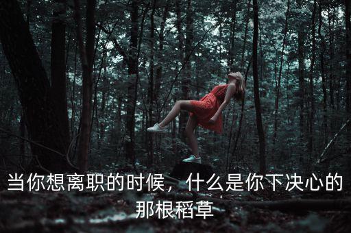 第二根稻草指的是什么,什么是你下決心的那根稻草