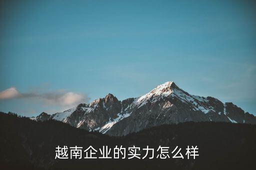 越南企業(yè)的實(shí)力怎么樣