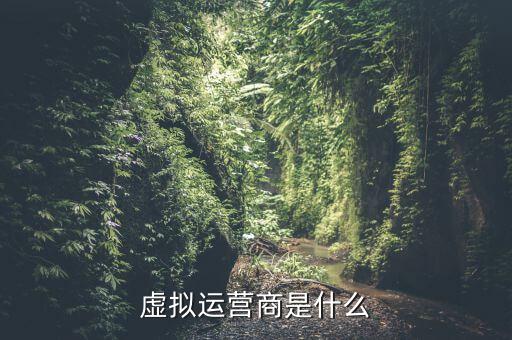 虛擬運(yùn)營(yíng)商是什么