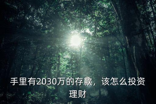 手里有2030萬的存款，該怎么投資理財