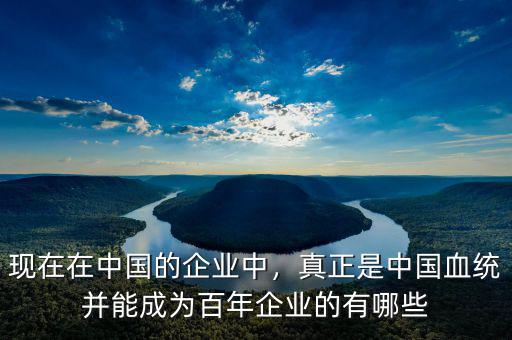 現(xiàn)在在中國的企業(yè)中，真正是中國血統(tǒng)并能成為百年企業(yè)的有哪些