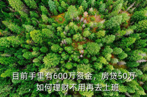 目前手里有600萬資金，房貸50萬，如何理財不用再去上班