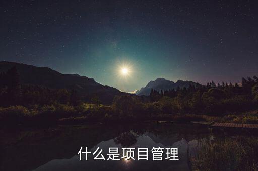 什么是項目管理