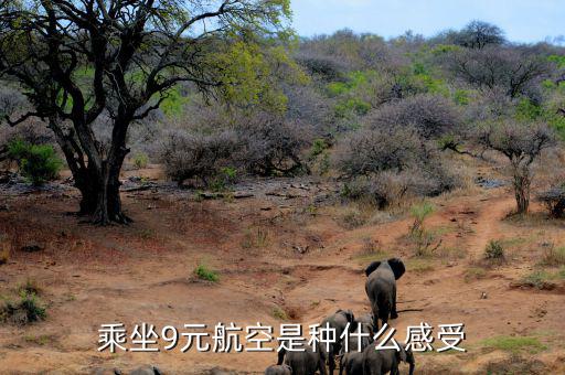 九元航空怎么樣,有沒(méi)有覺(jué)得九元航空很坑啊