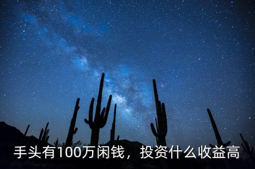 手頭有100萬閑錢，投資什么收益高