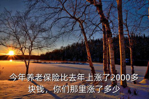 今年養(yǎng)老保險比去年上漲了2000多塊錢，你們那里漲了多少