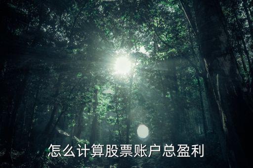 怎么計算股票賬戶總盈利