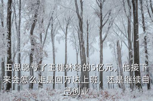 王思聰虧了王健林給的5億元，他接下來(lái)會(huì)怎么走是回萬(wàn)達(dá)上班，還是繼續(xù)自己創(chuàng)業(yè)