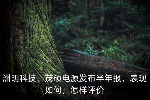 洲明科技、茂碩電源發(fā)布半年報(bào)，表現(xiàn)如何，怎樣評(píng)價(jià)