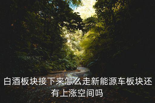 白酒板塊接下來(lái)怎么走新能源車(chē)板塊還有上漲空間嗎