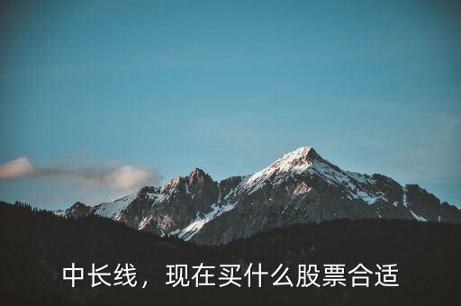 長(zhǎng)線(xiàn)投資什么股票最好,現(xiàn)在買(mǎi)什么股票合適