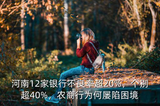 河南12家銀行不良率超20%，個(gè)別超40%，農(nóng)商行為何屢陷困境