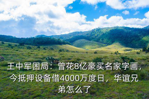 王中軍困局：曾花8億豪買名家字畫(huà)，今抵押設(shè)備借4000萬(wàn)度日，華誼兄弟怎么了