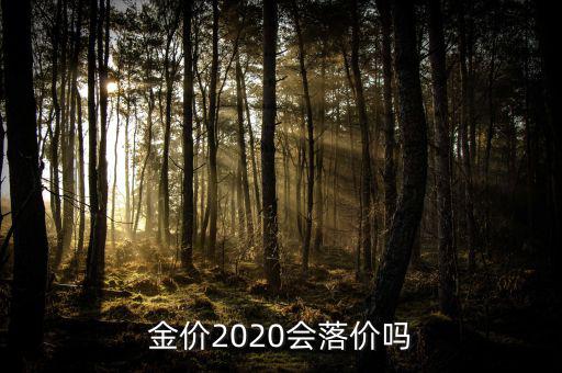 金價(jià)2020會(huì)落價(jià)嗎