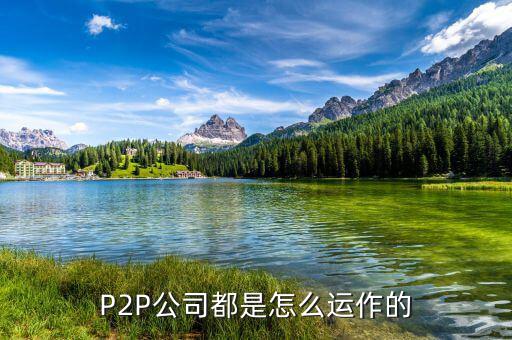 P2P公司都是怎么運(yùn)作的