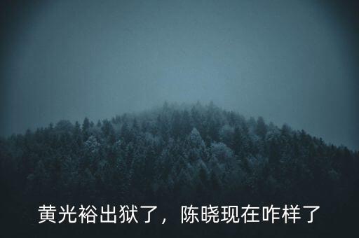 黃光裕出獄了，陳曉現(xiàn)在咋樣了