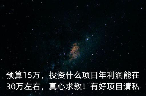 預(yù)算15萬，投資什么項目年利潤能在30萬左右，真心求教！有好項目請私