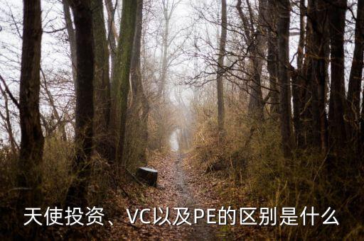 天使投資、VC以及PE的區(qū)別是什么