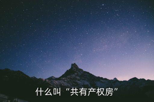 什么叫“共有產(chǎn)權(quán)房”