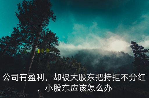 公司有盈利，卻被大股東把持拒不分紅，小股東應(yīng)該怎么辦