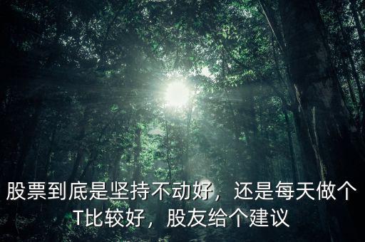 股票到底是堅持不動好，還是每天做個T比較好，股友給個建議