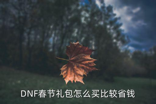 DNF春節(jié)禮包怎么買比較省錢