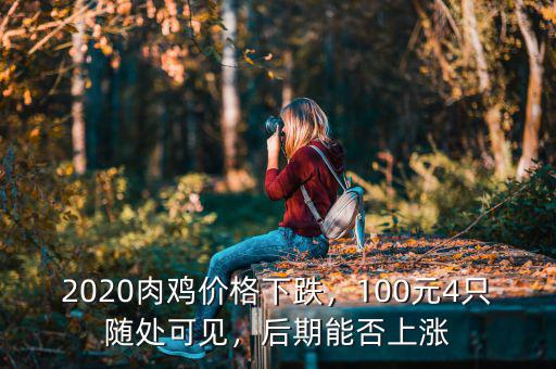 2020肉雞價(jià)格下跌，100元4只隨處可見(jiàn)，后期能否上漲