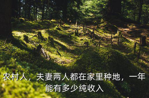 一市畝地一年能打多少大豆,種多少畝土地能發(fā)家致富