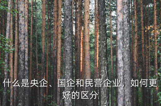 什么是央企、國(guó)企和民營(yíng)企業(yè)，如何更好的區(qū)分