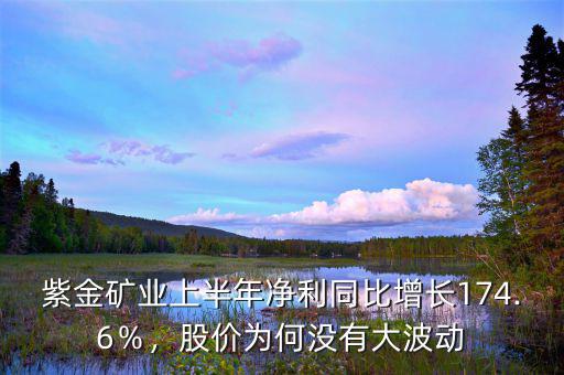 紫金礦業(yè)上半年凈利同比增長174.6％，股價為何沒有大波動