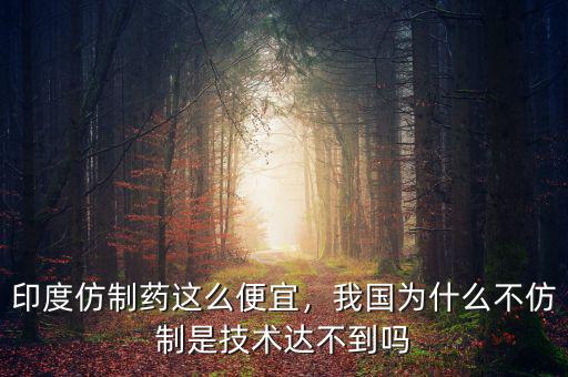 中國為什么沒有仿制藥,我國為什么不仿制