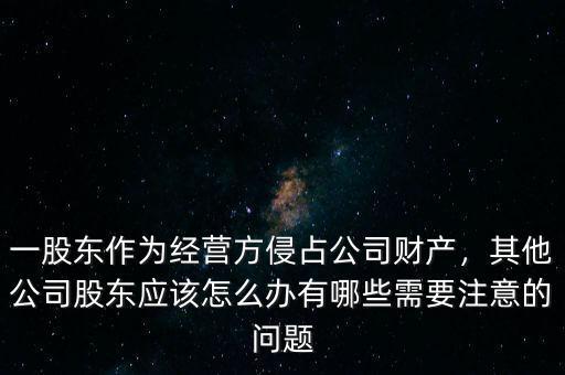 股東侵占超過股份的錢怎么辦,其他公司股東應(yīng)該怎么辦