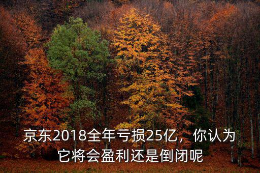 京東2018全年虧損25億，你認(rèn)為它將會盈利還是倒閉呢