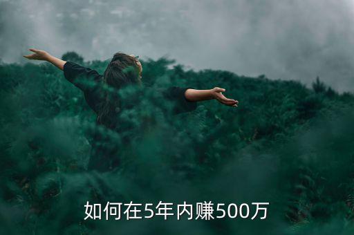 如何在5年內(nèi)賺500萬(wàn)