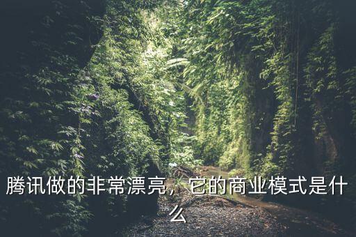 騰訊做的非常漂亮，它的商業(yè)模式是什么