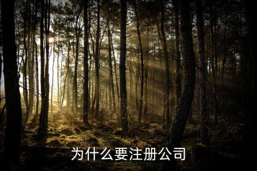 為什么要注冊(cè)公司